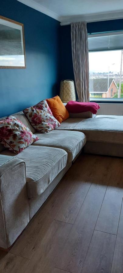 Bellevue Bungalow - Comfortable Home With Amazing Views Belfast Zewnętrze zdjęcie
