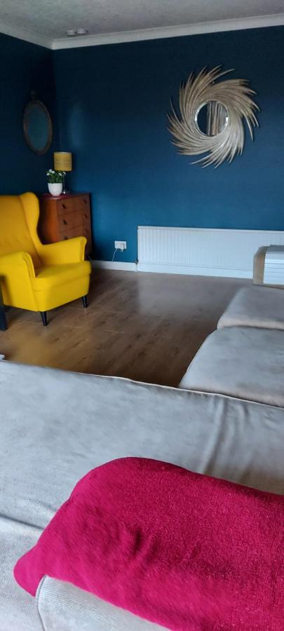 Bellevue Bungalow - Comfortable Home With Amazing Views Belfast Zewnętrze zdjęcie