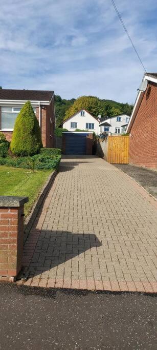 Bellevue Bungalow - Comfortable Home With Amazing Views Belfast Zewnętrze zdjęcie