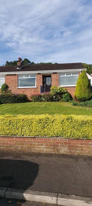 Bellevue Bungalow - Comfortable Home With Amazing Views Belfast Zewnętrze zdjęcie