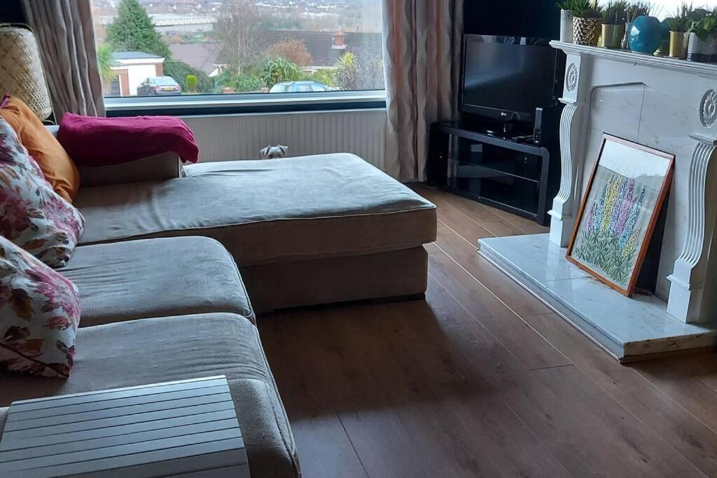 Bellevue Bungalow - Comfortable Home With Amazing Views Belfast Zewnętrze zdjęcie
