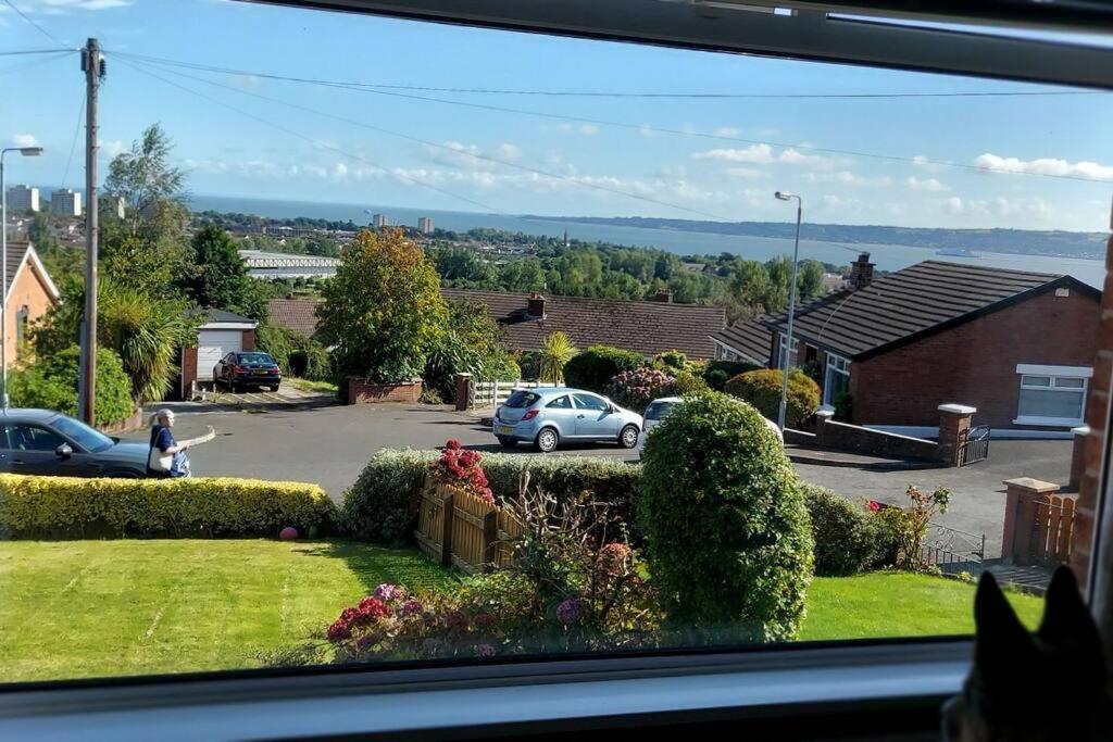 Bellevue Bungalow - Comfortable Home With Amazing Views Belfast Zewnętrze zdjęcie