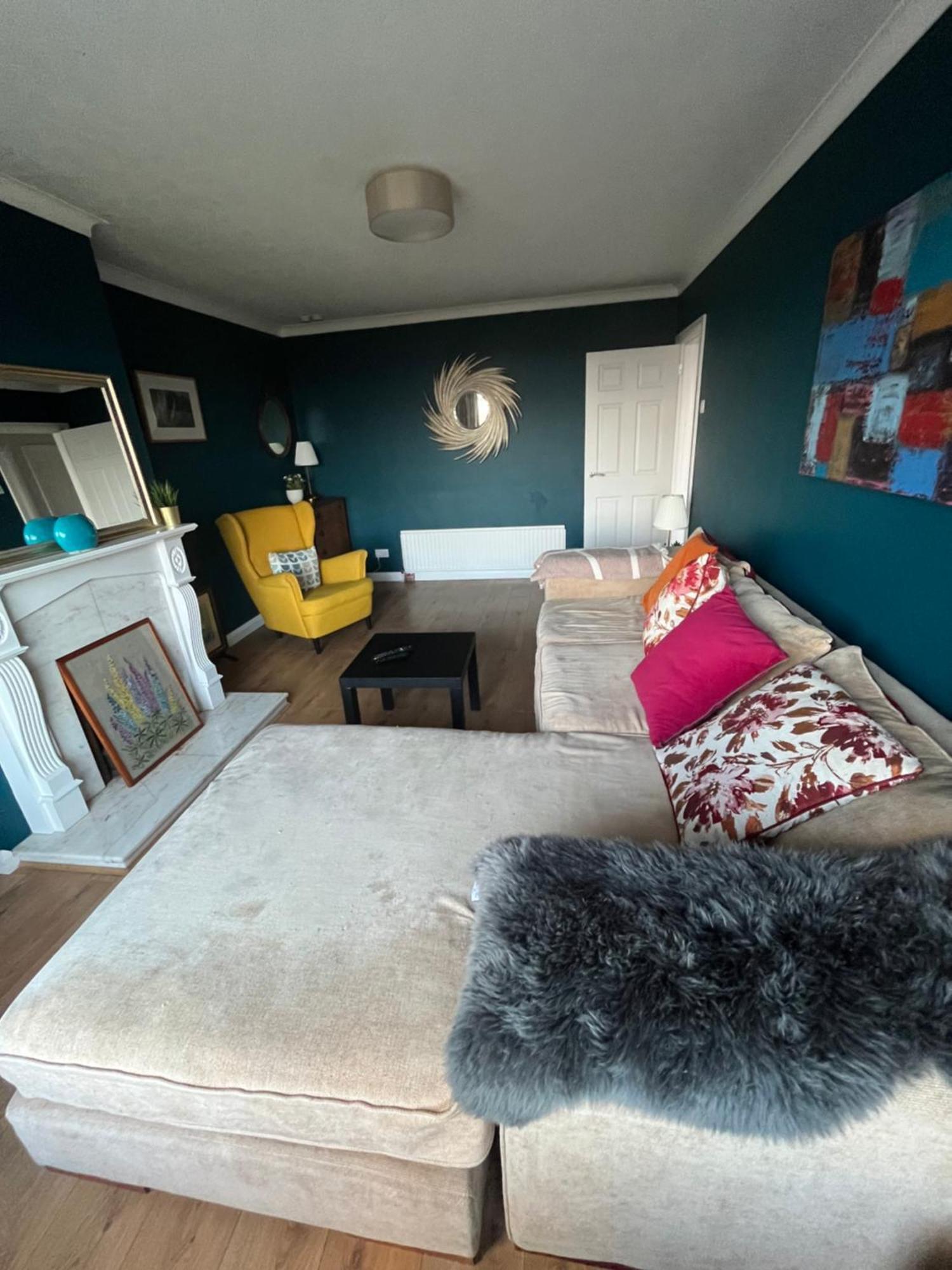 Bellevue Bungalow - Comfortable Home With Amazing Views Belfast Zewnętrze zdjęcie